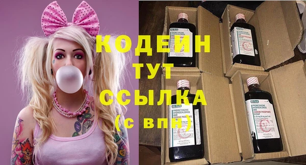 PSILOCYBIN Алзамай