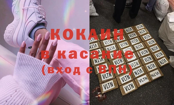 PSILOCYBIN Алзамай