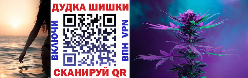 купить наркотик  Приозерск  Конопля гибрид 